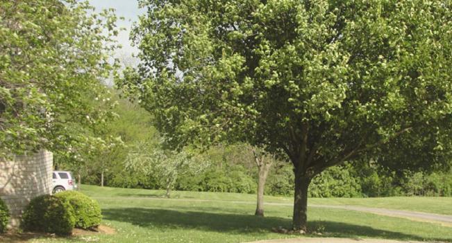 Rabbit Creek Bed & Breakfast Versailles Esterno foto