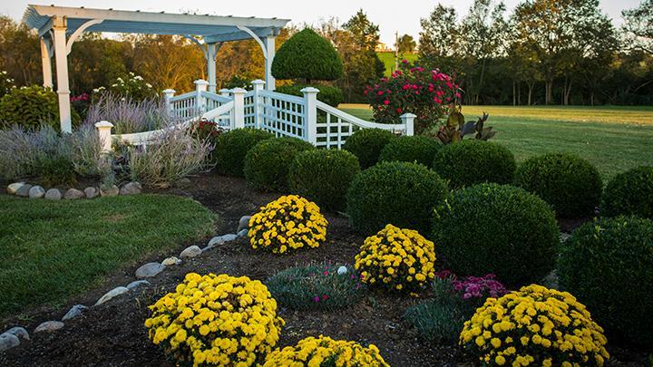 Rabbit Creek Bed & Breakfast Versailles Esterno foto